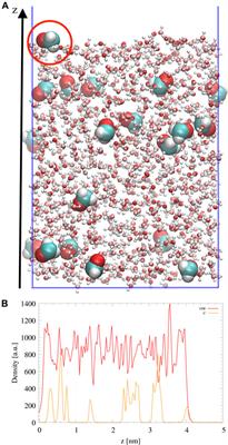 QM/MM Study of the H2 Formation on the Surface of a Water Ice Grain Doped With Formaldehyde: Molecular Dynamics and Reaction Kinetics